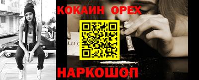 крисы Можга