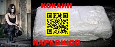 крисы Можга
