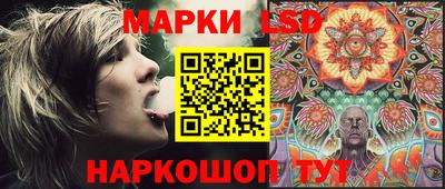 крисы Можга
