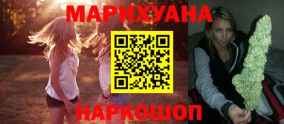 крисы Можга