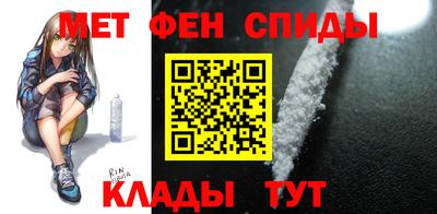 крисы Можга