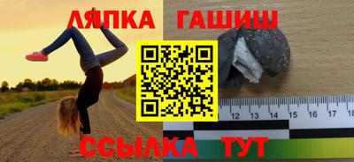 крисы Можга