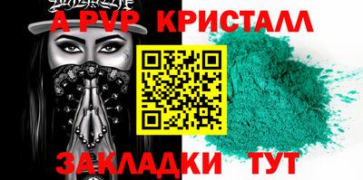 крисы Можга
