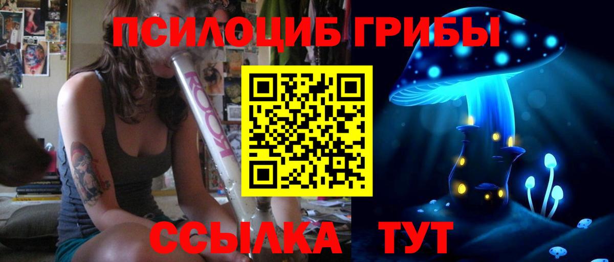 Галлюциногенные грибы Cubensis Саров